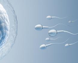 Fertility_Preservation