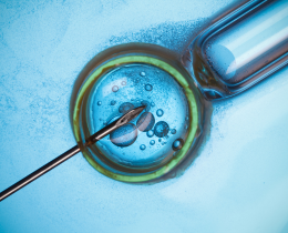 ivf and icsi