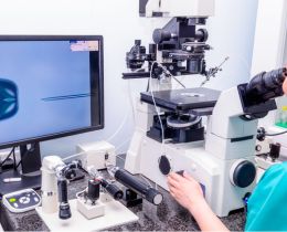 IVF ICSI Treatment