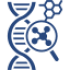 molecular molecular